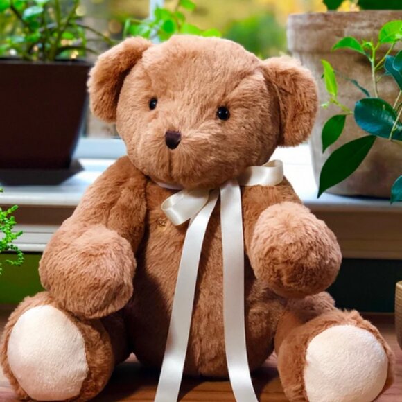 Adorable Bear with Voice Recorder NWT - Picture 4 of 9